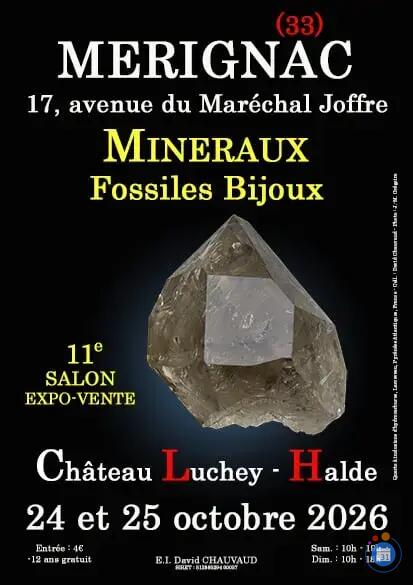 Image 11e SALON MINERAUX FOSSILES BIJOUX de MERIGNAC (Gironde) (photo 1)