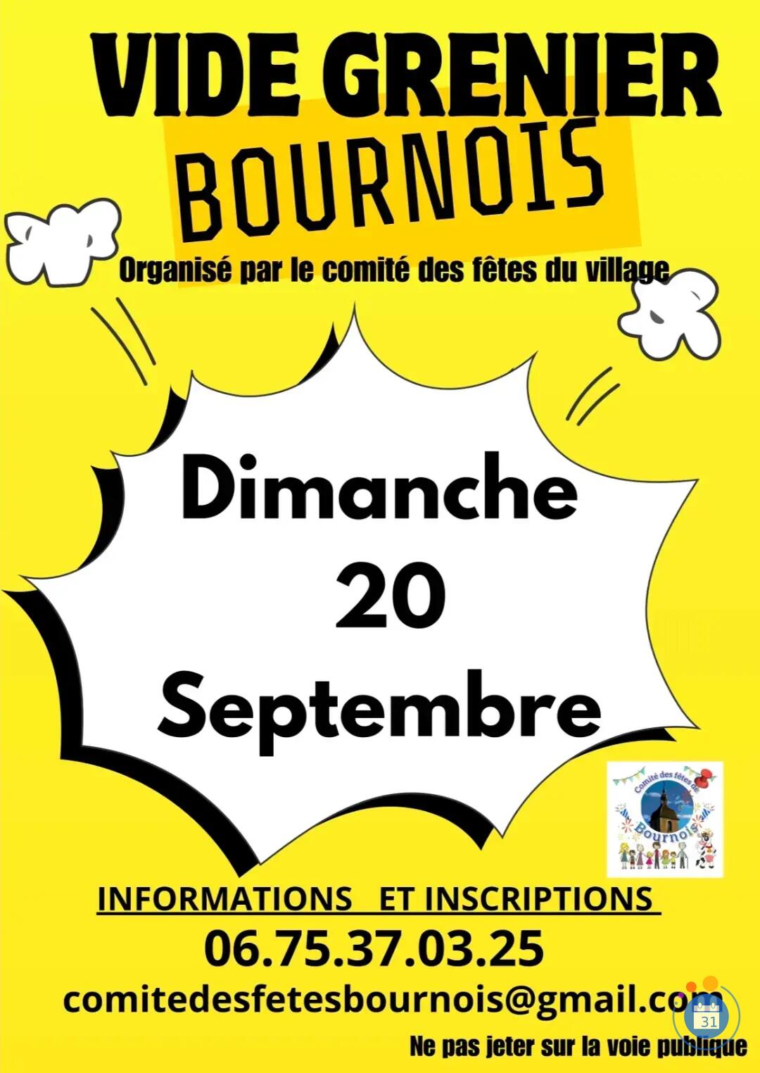 Image Vide grenier Bournois (photo 1)