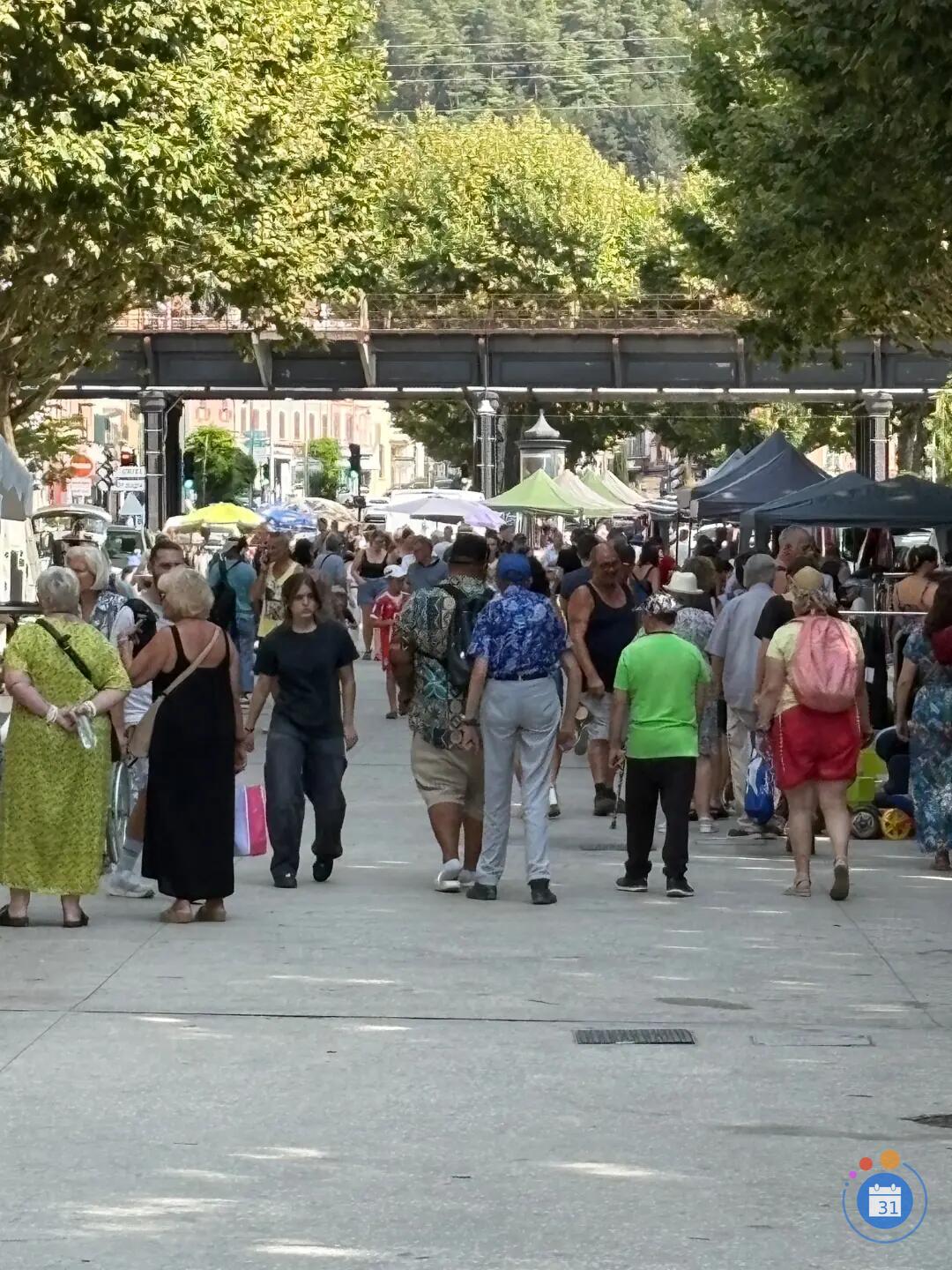Image vide grenier de voiron (photo 1)