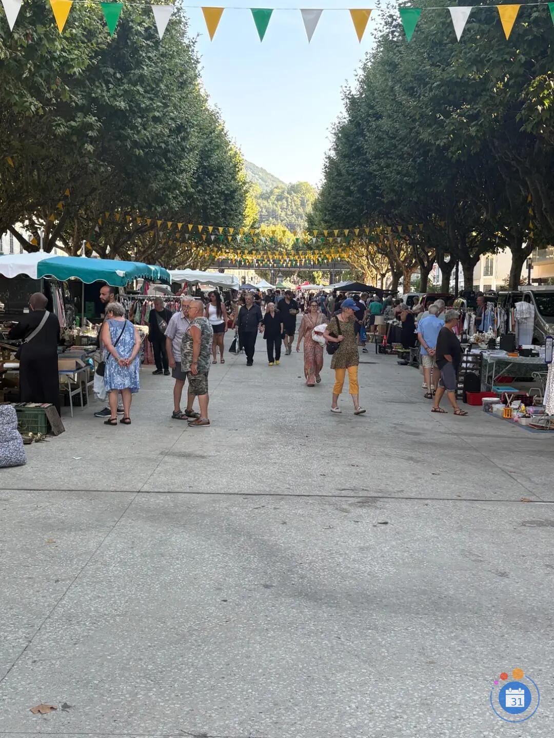 Image vide grenier de voiron (photo 2)