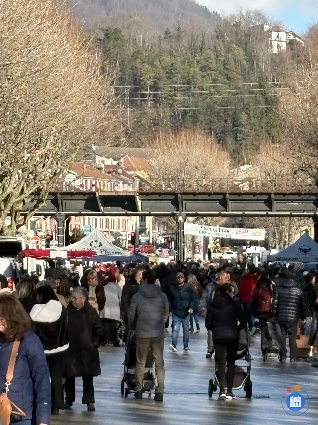 Image vide grenier de voiron (photo 3)
