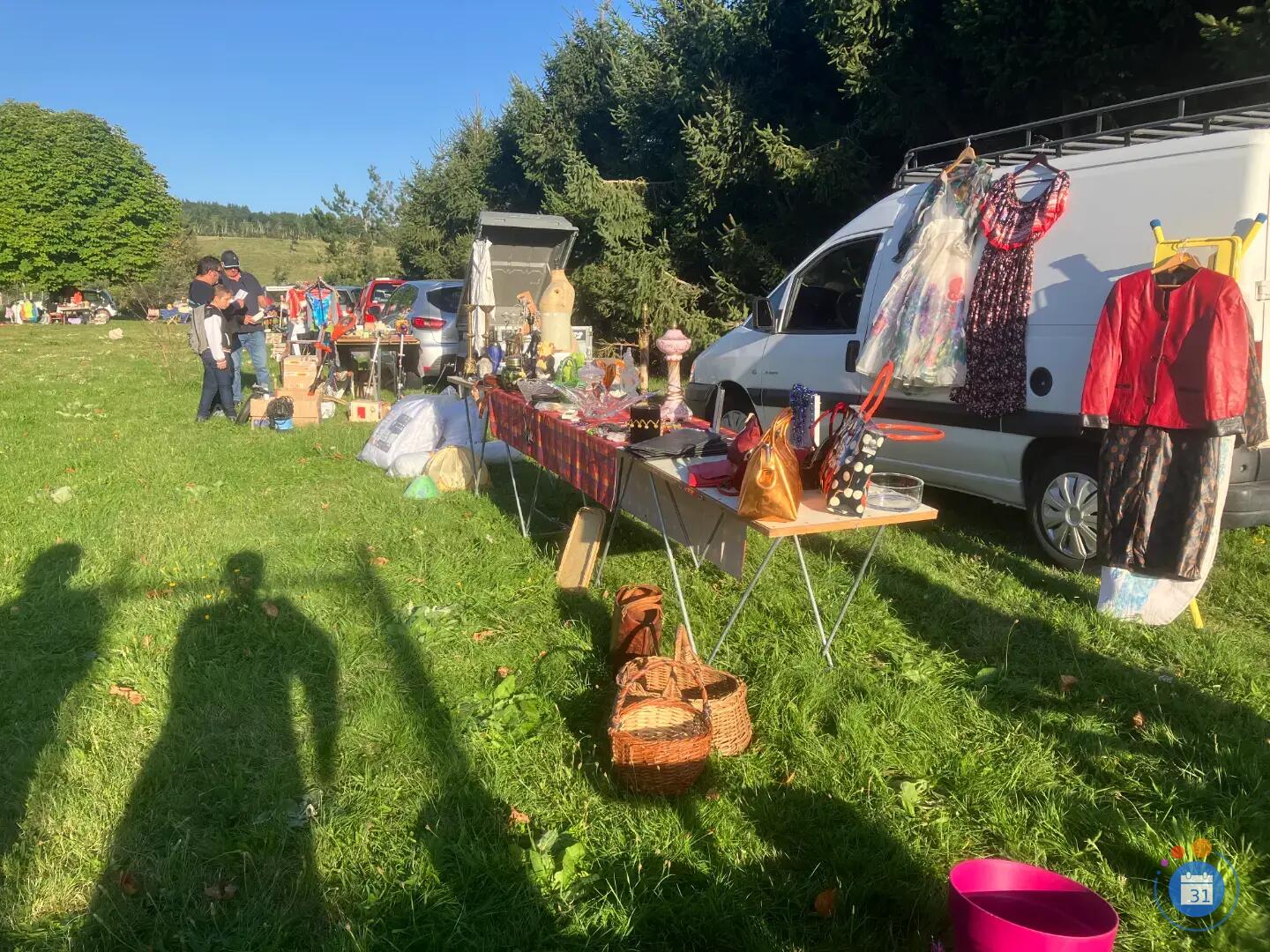 Image Vide grenier, exposition bovine (photo 3)
