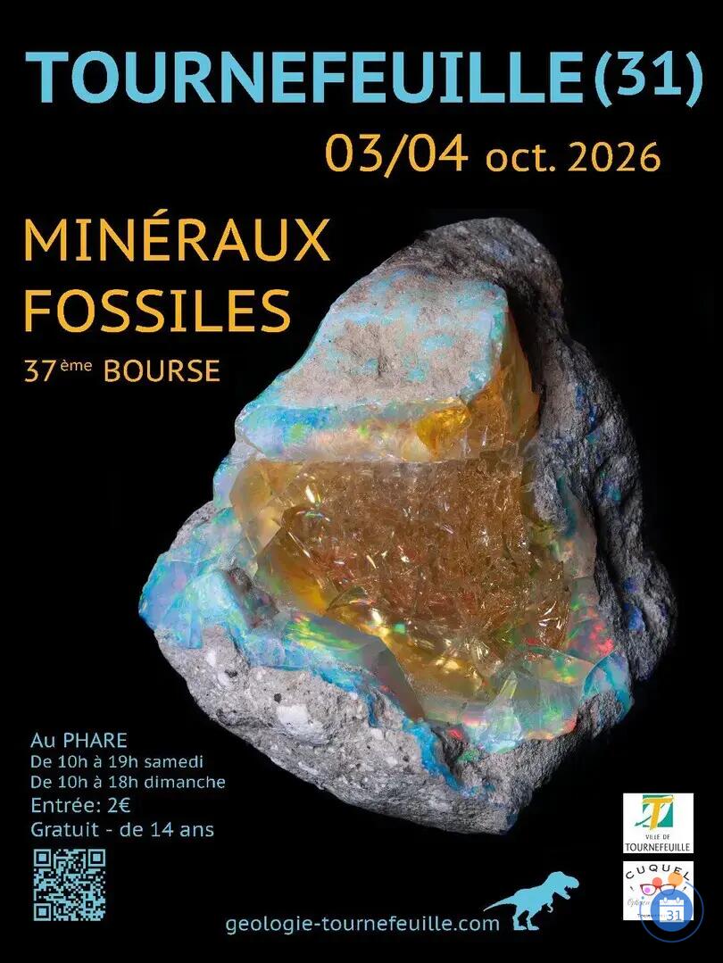 Image 37ème Bourse aux Minéraux et Fossiles de Tournefeuille (photo 1)