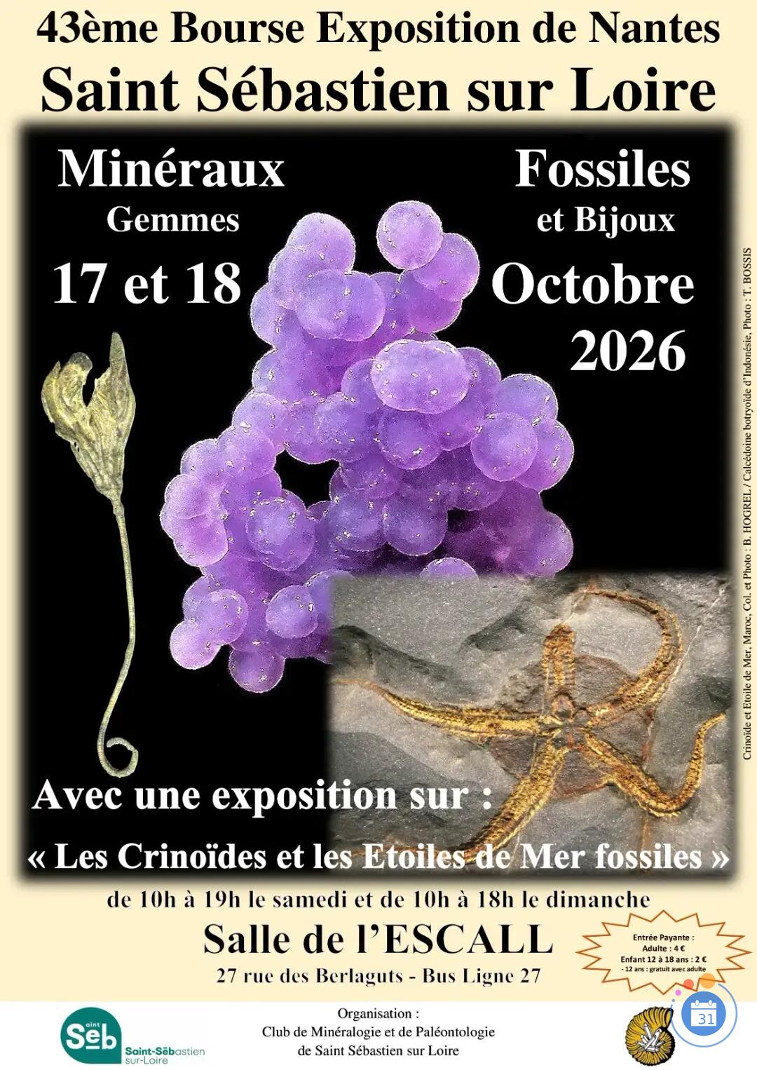 Image 43ème bourse exposition-vente de minéraux, fossiles et pierres taillées (photo 1)