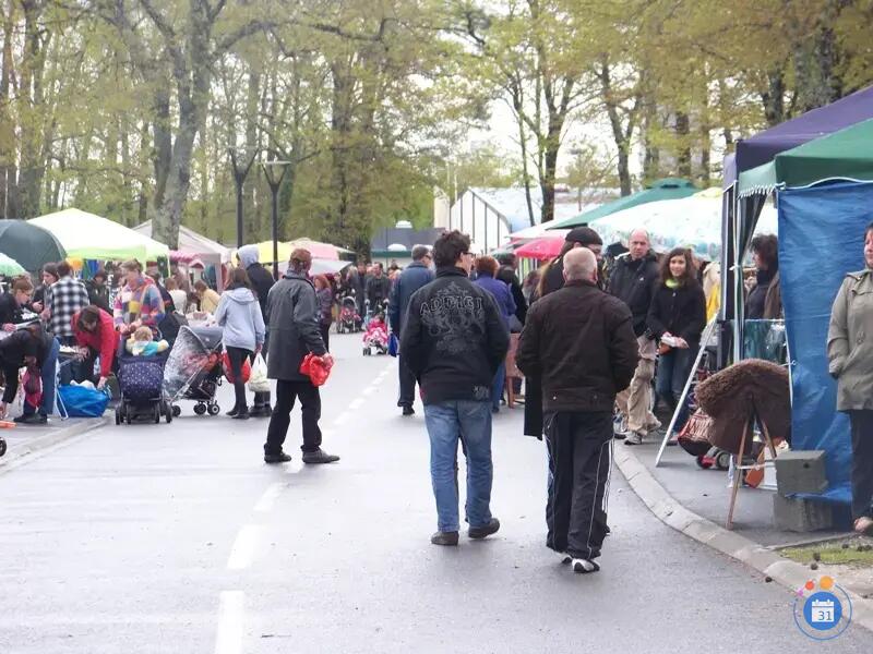 Image Vide Grenier de la foire d'automne (photo 2)