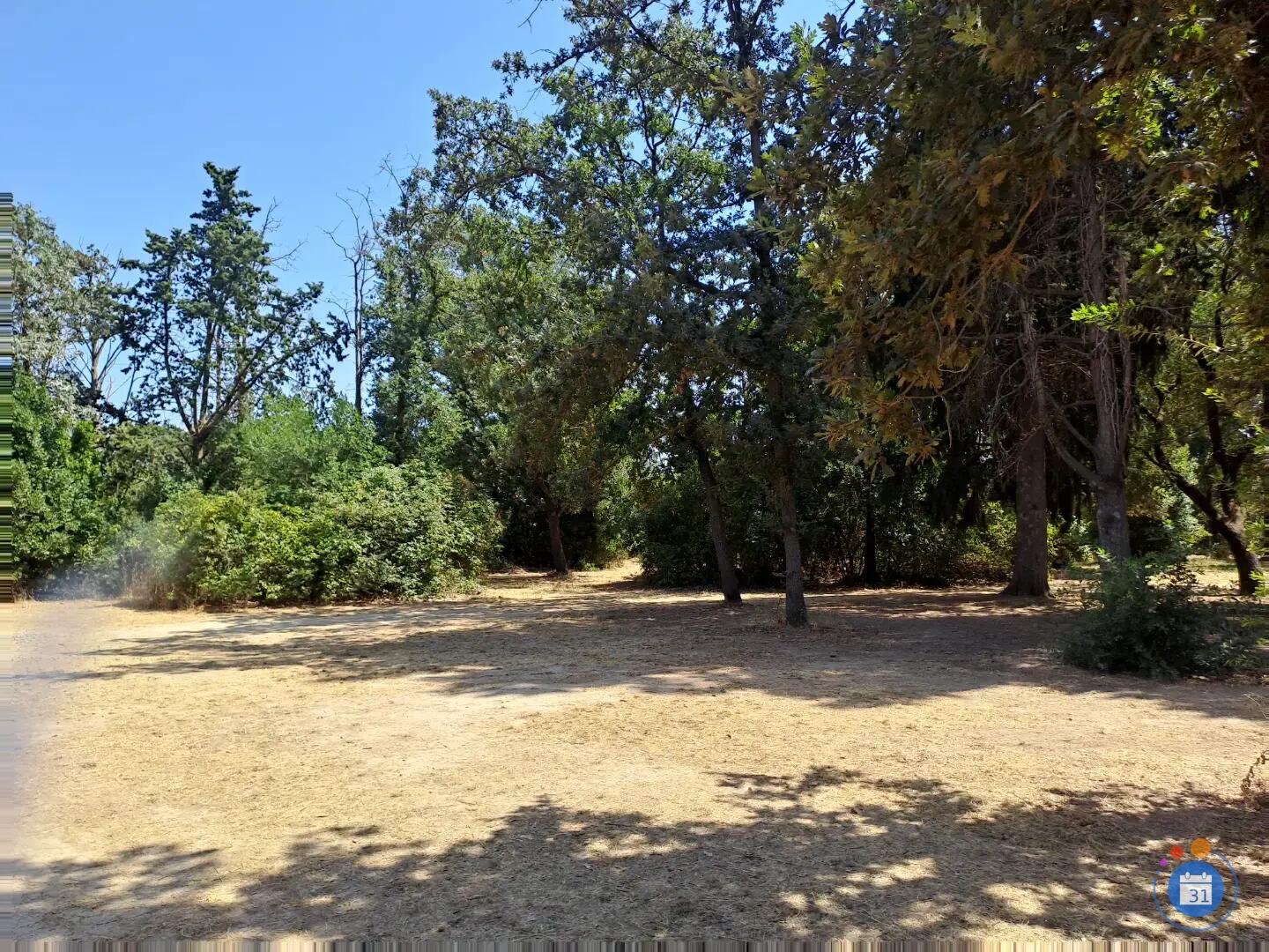 Image Vide greniers (photo 2)