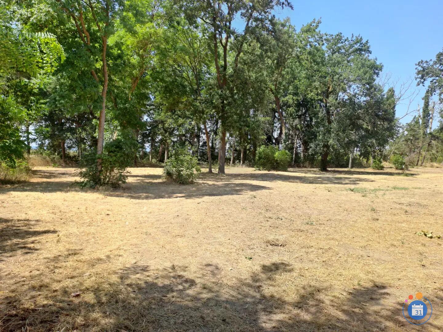 Image Vide greniers (photo 4)