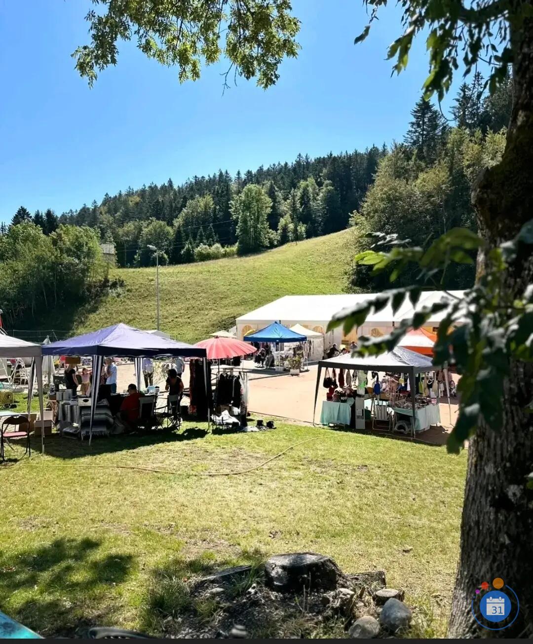 Image Vide-Grenier de St-Cergue (photo 2)