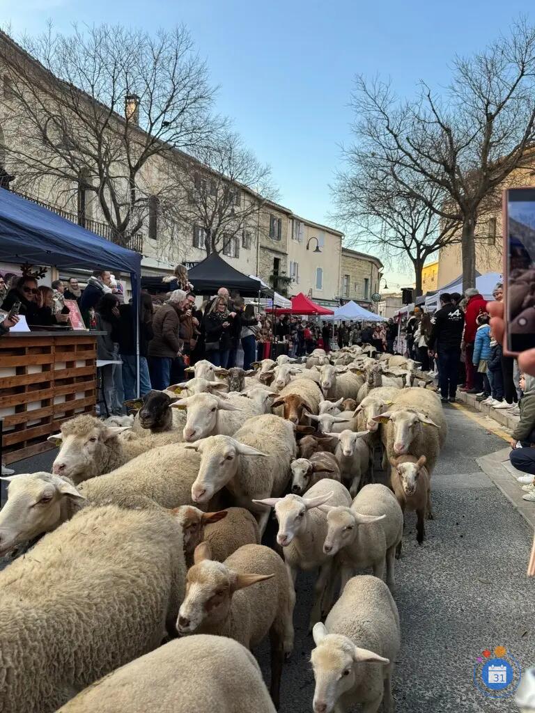 Image Marché de Noël d'Aigues Vives (photo 4)