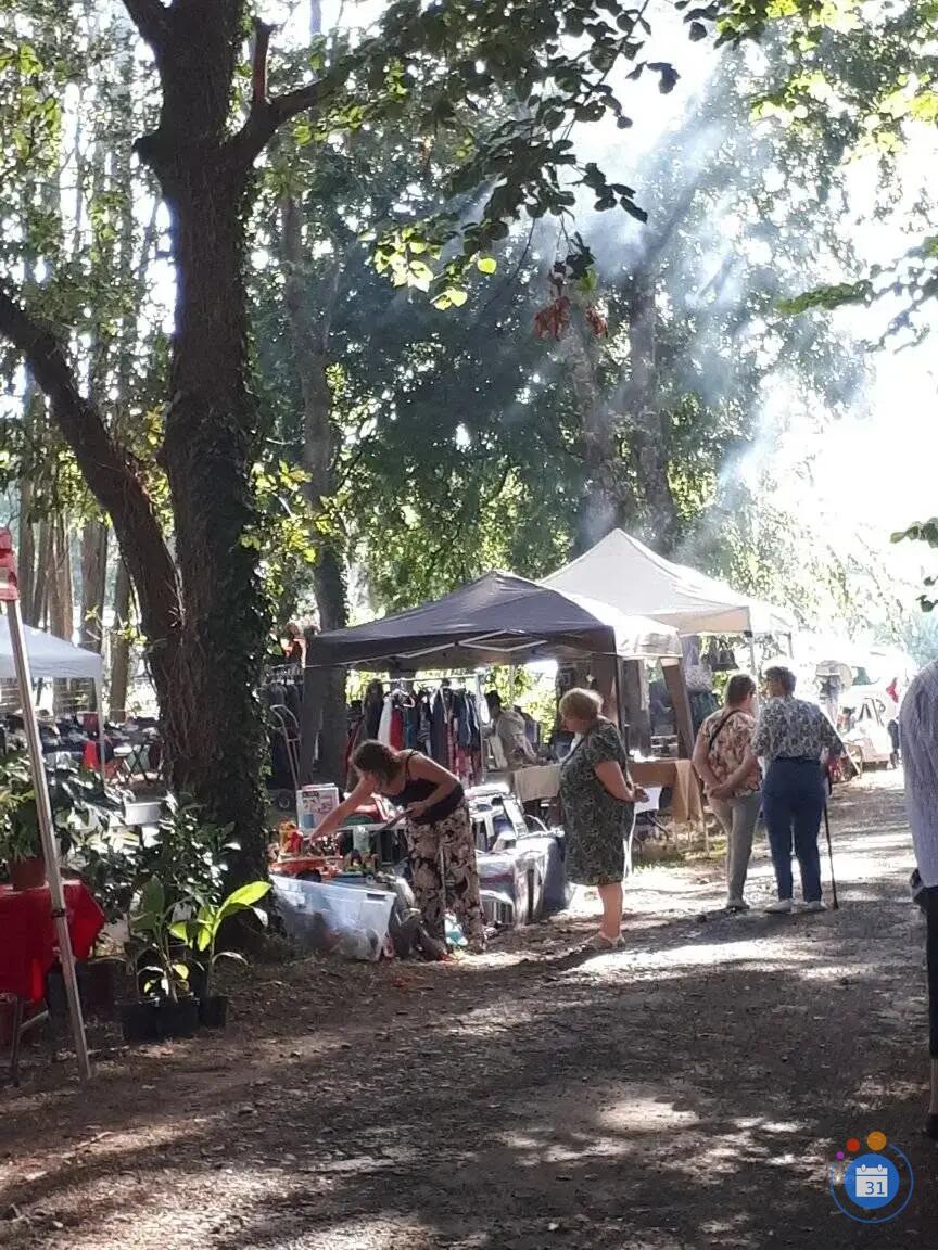 Image VIDE GRENIER DES FETES (photo 2)