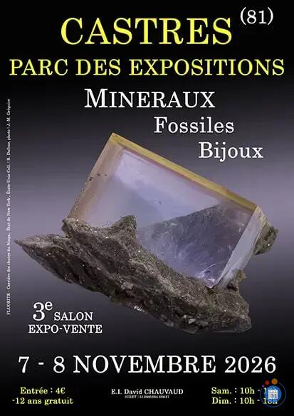 Image 3e SALON MINERAUX FOSSILES BIJOUX de CASTRES (Tarn) (photo 1)
