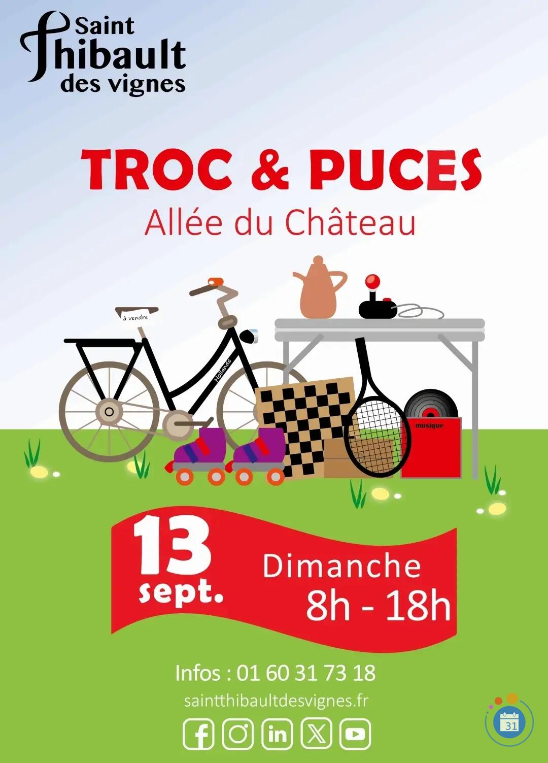 Image Troc et puces Saint Thibault des Vignes (photo 1)