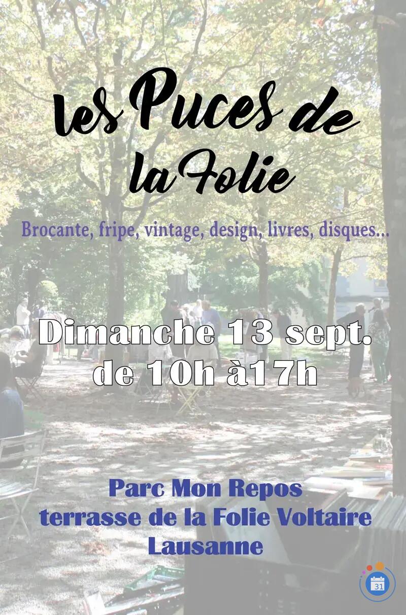 Image Les Puces de la Folie (photo 1)