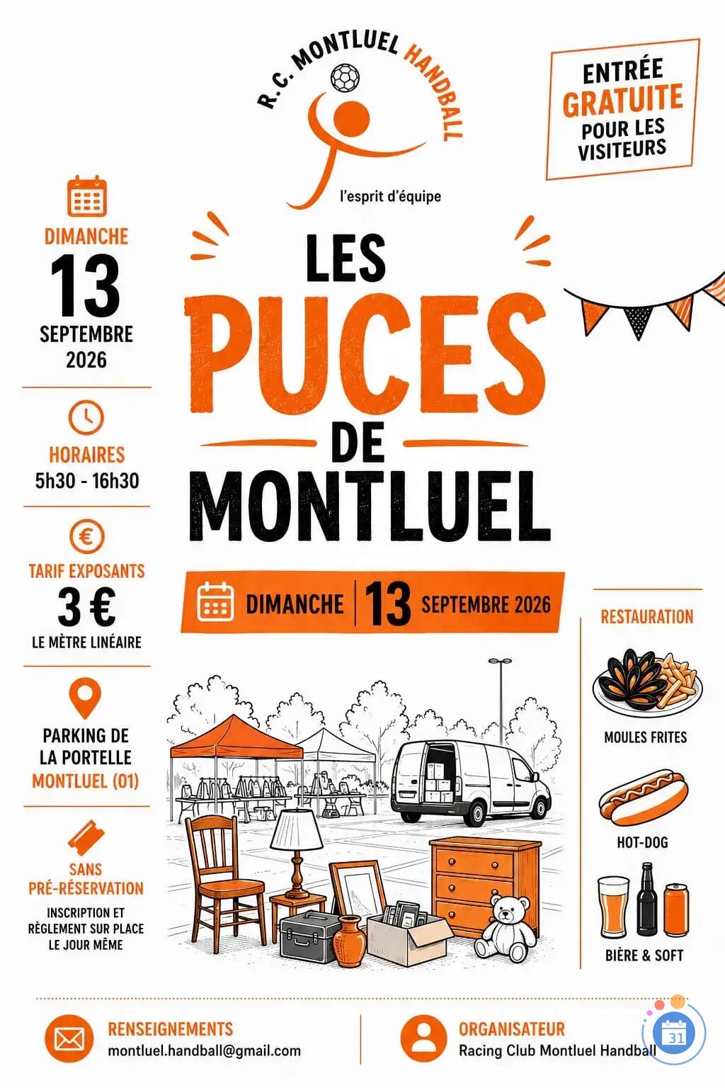 Image Les Puces de Montluel (photo 1)