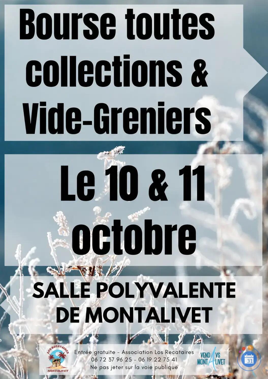 Image bouse toutes collections et vide greniers de l'automne (photo 1)