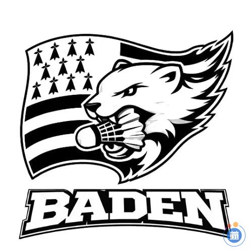 Image Vide grenier de Baden Badminton (photo 1)