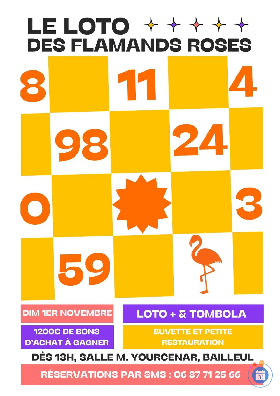 Image Loto des flamands roses (photo 1)