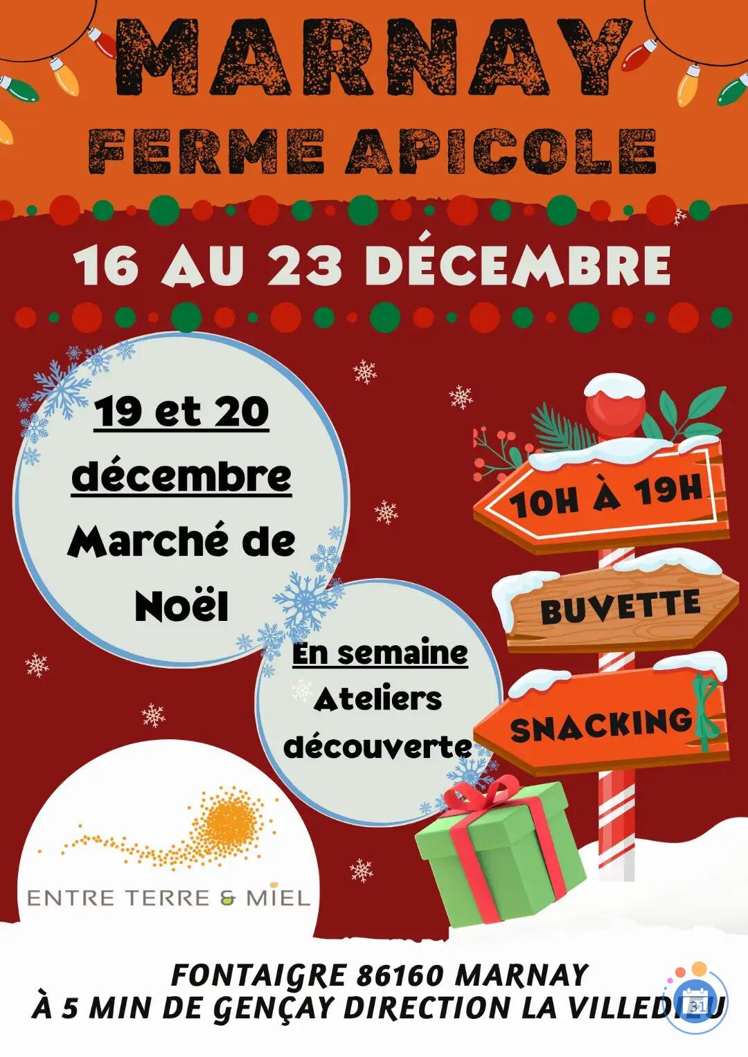 Image Noël à la ferme chez Entre Terre & Miel (photo 1)