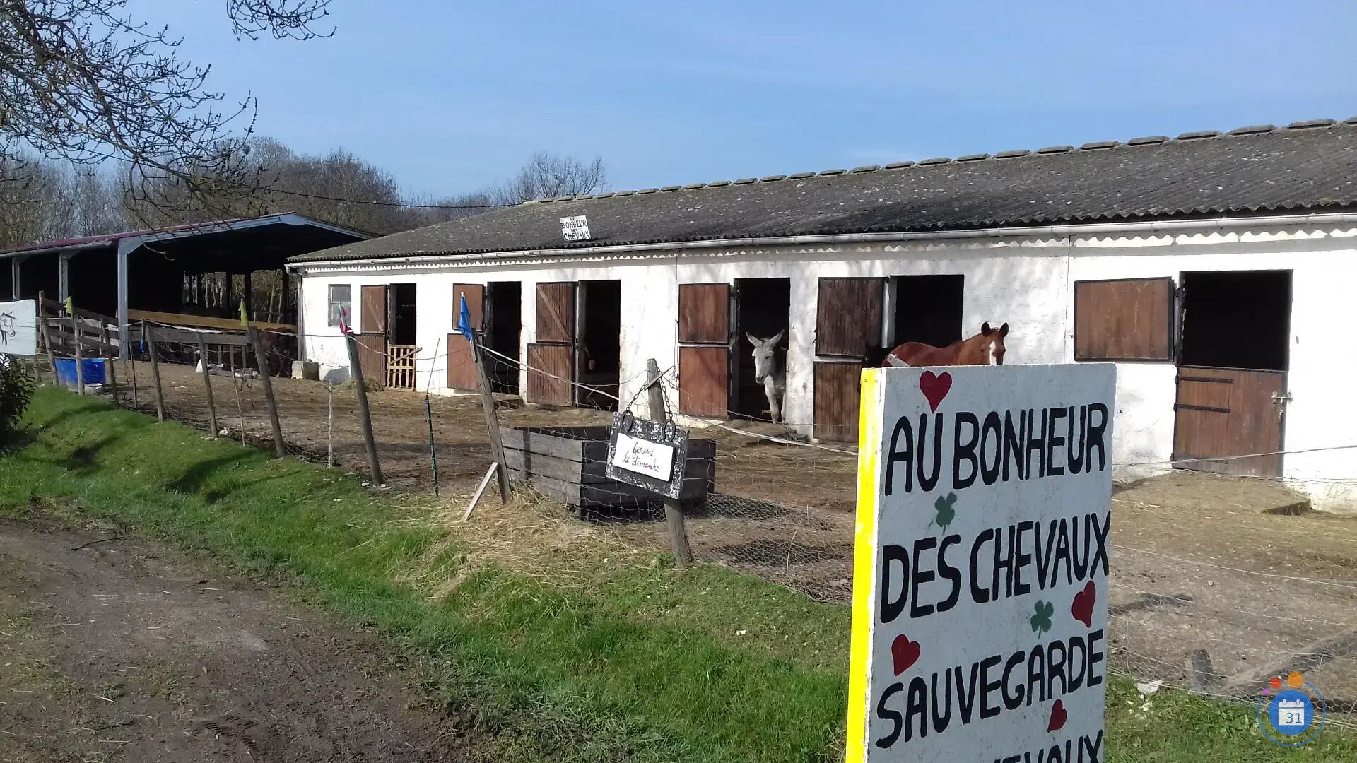 Image GRAND LOPTO EN FAVEUR DES CHEVAUX (photo 2)