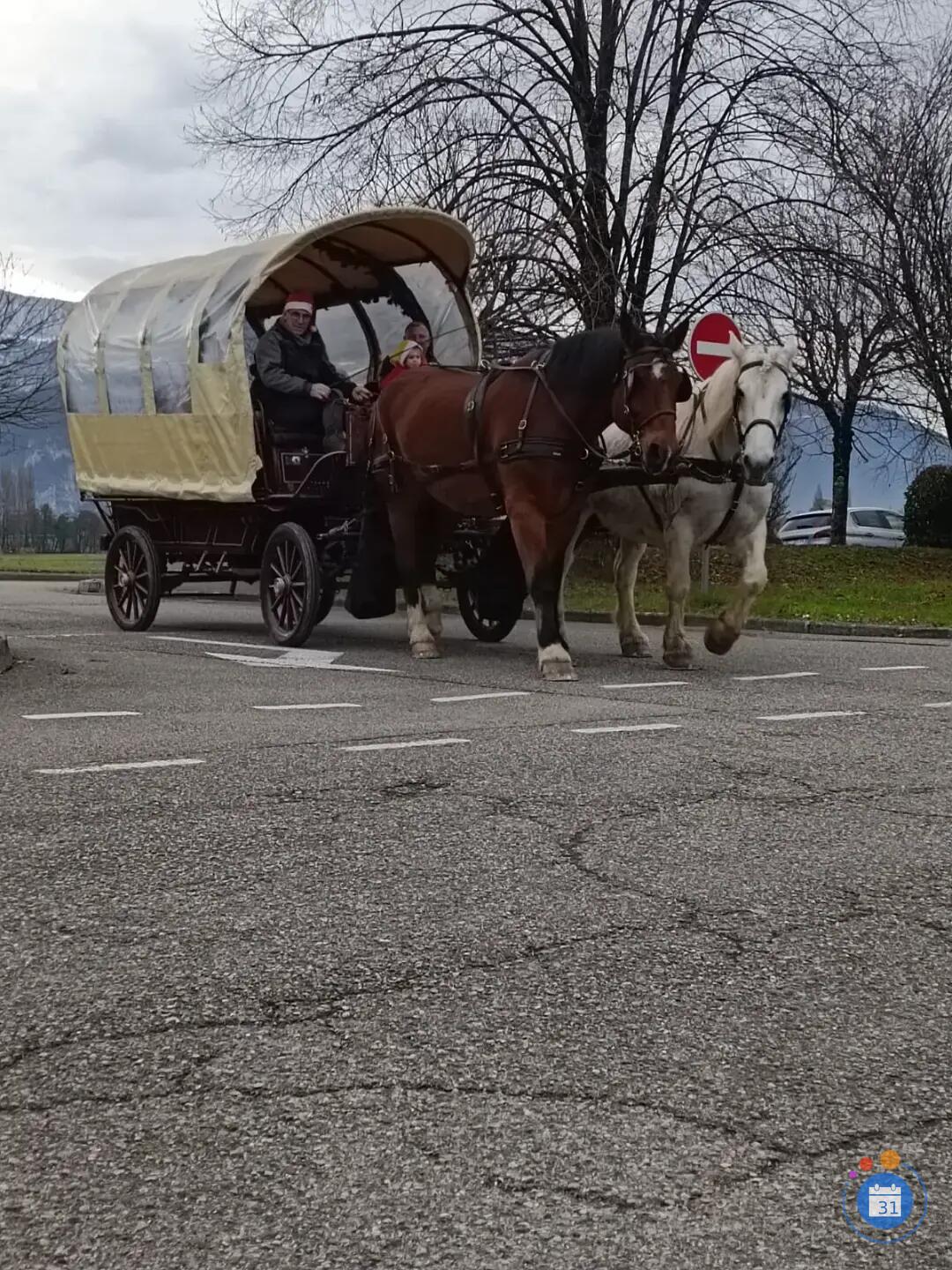 Image Marché de Noël de La Buisse le 29 novembre 2026 (photo 2)