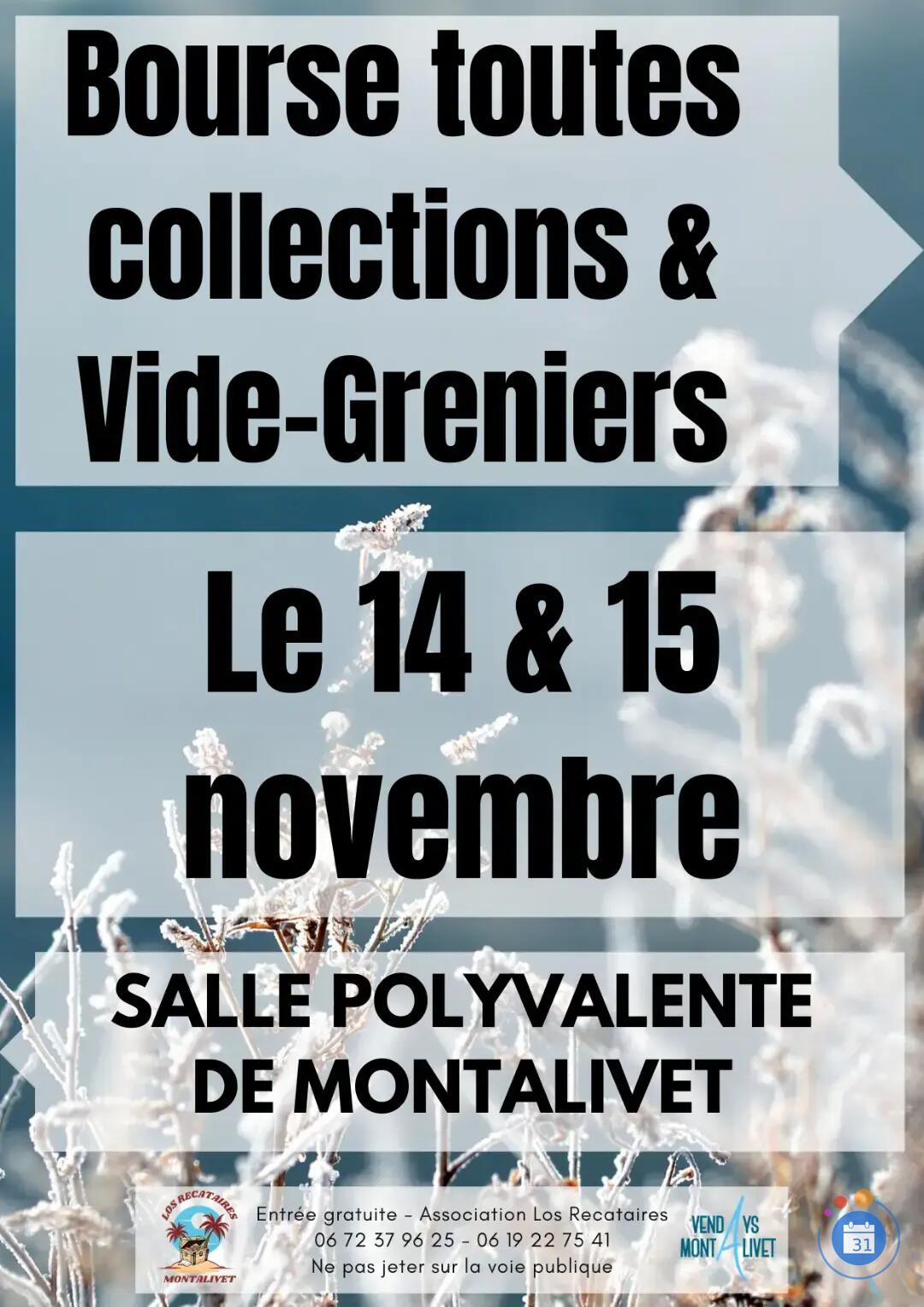 Image bourse toutes collections et vide greniers de fin d'année (photo 1)
