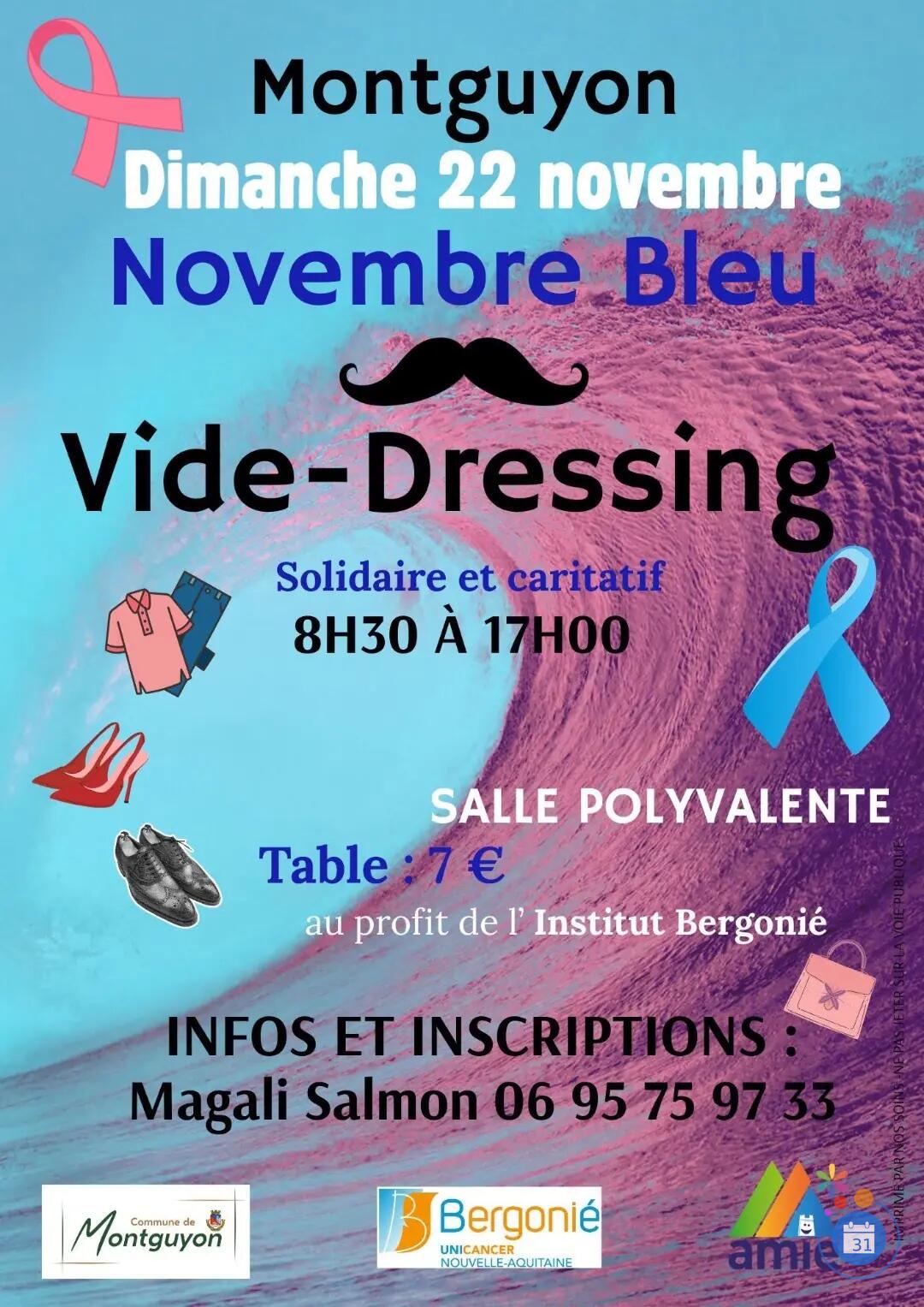 Image Vide dressing Novembre Bleu (photo 1)