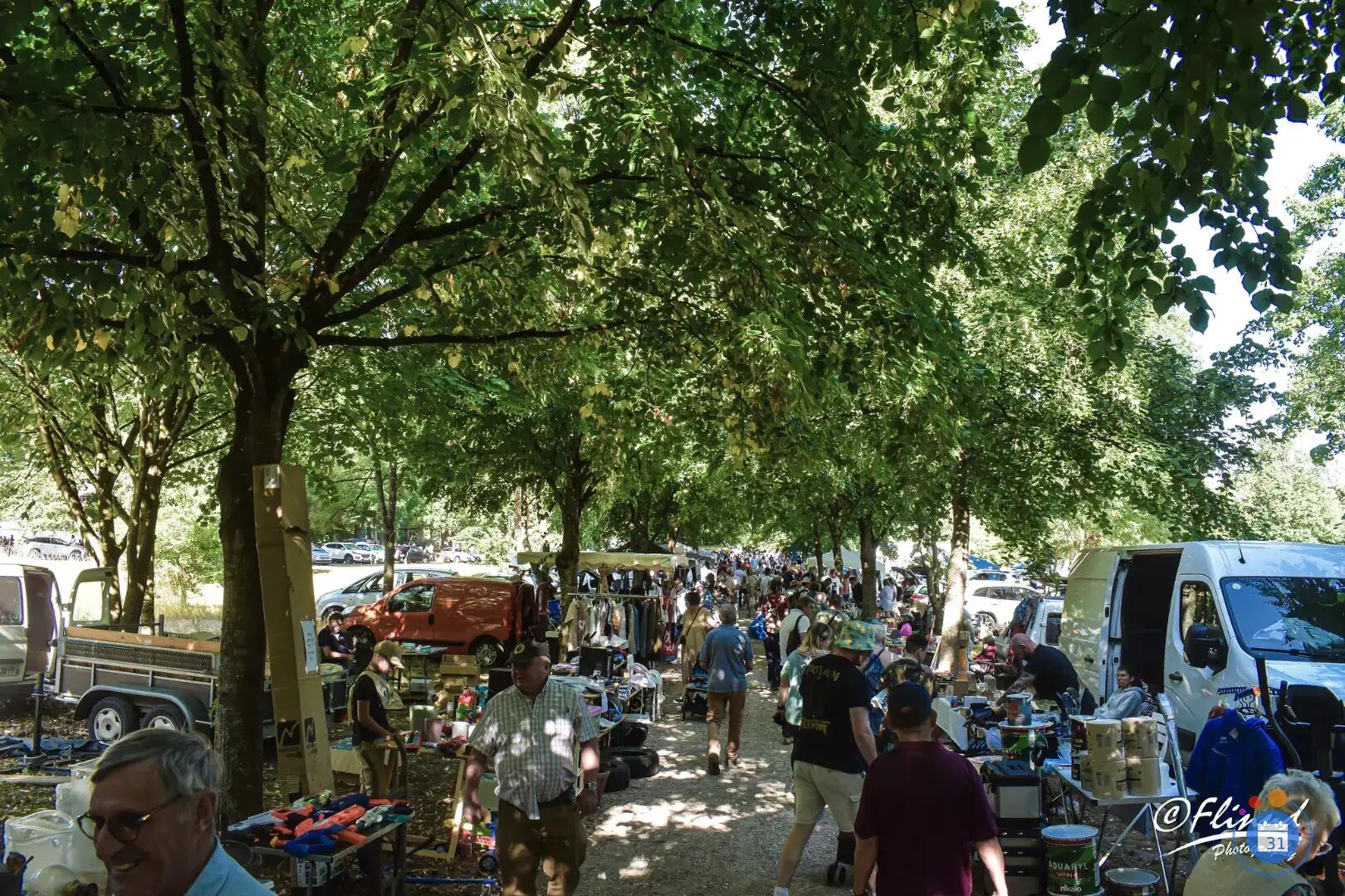 Image Vide grenier (photo 2)