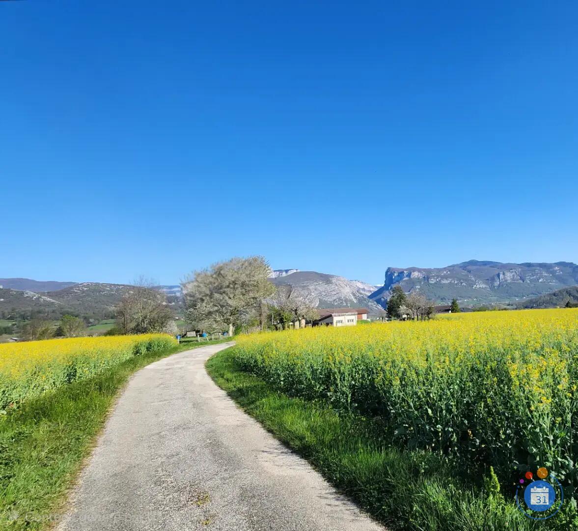 Image 🧺 GRAND VIDE-MAISON À AUBERIVES-EN-ROYANS ! (photo 1)