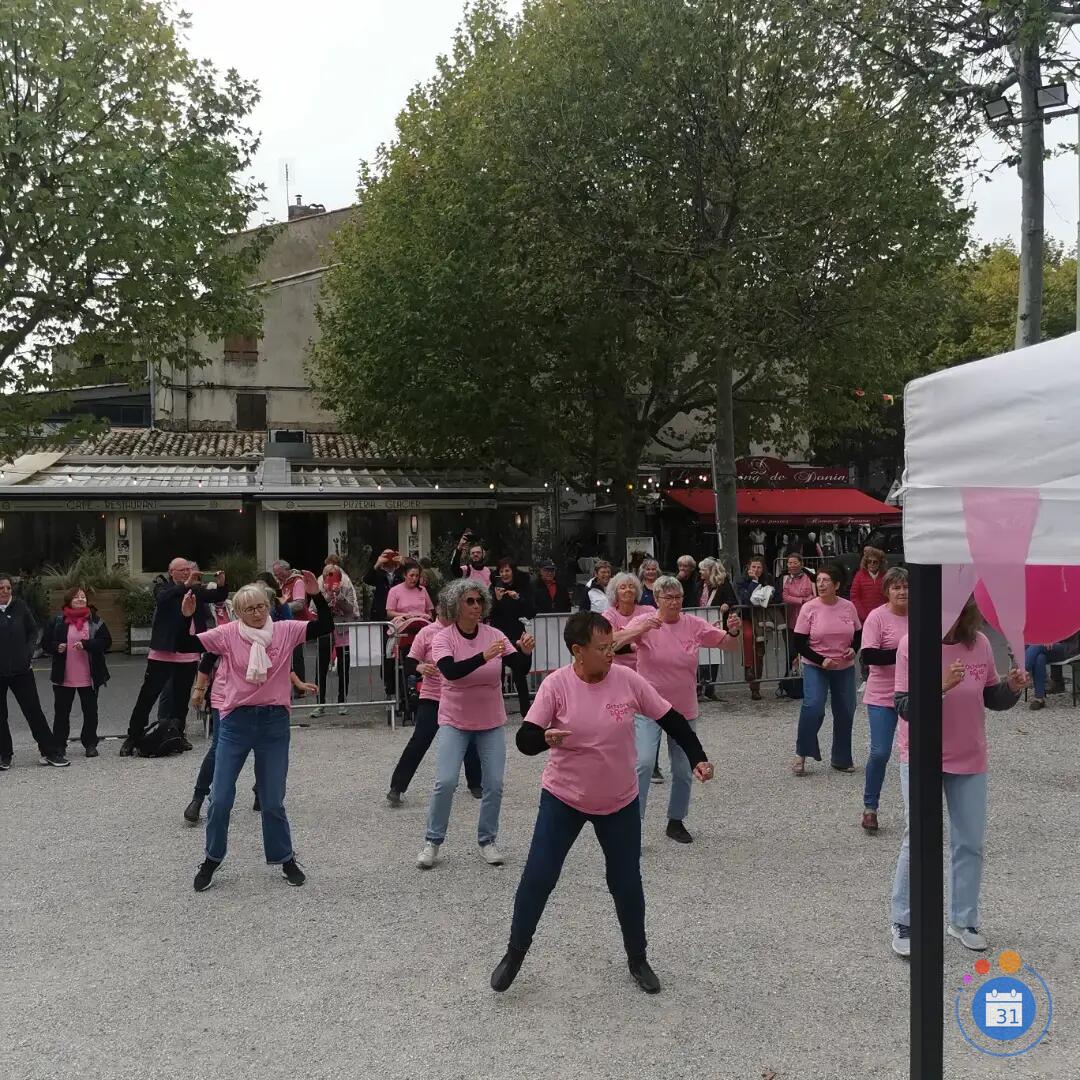 Image NYONS OCTOBRE ROSE (photo 2)