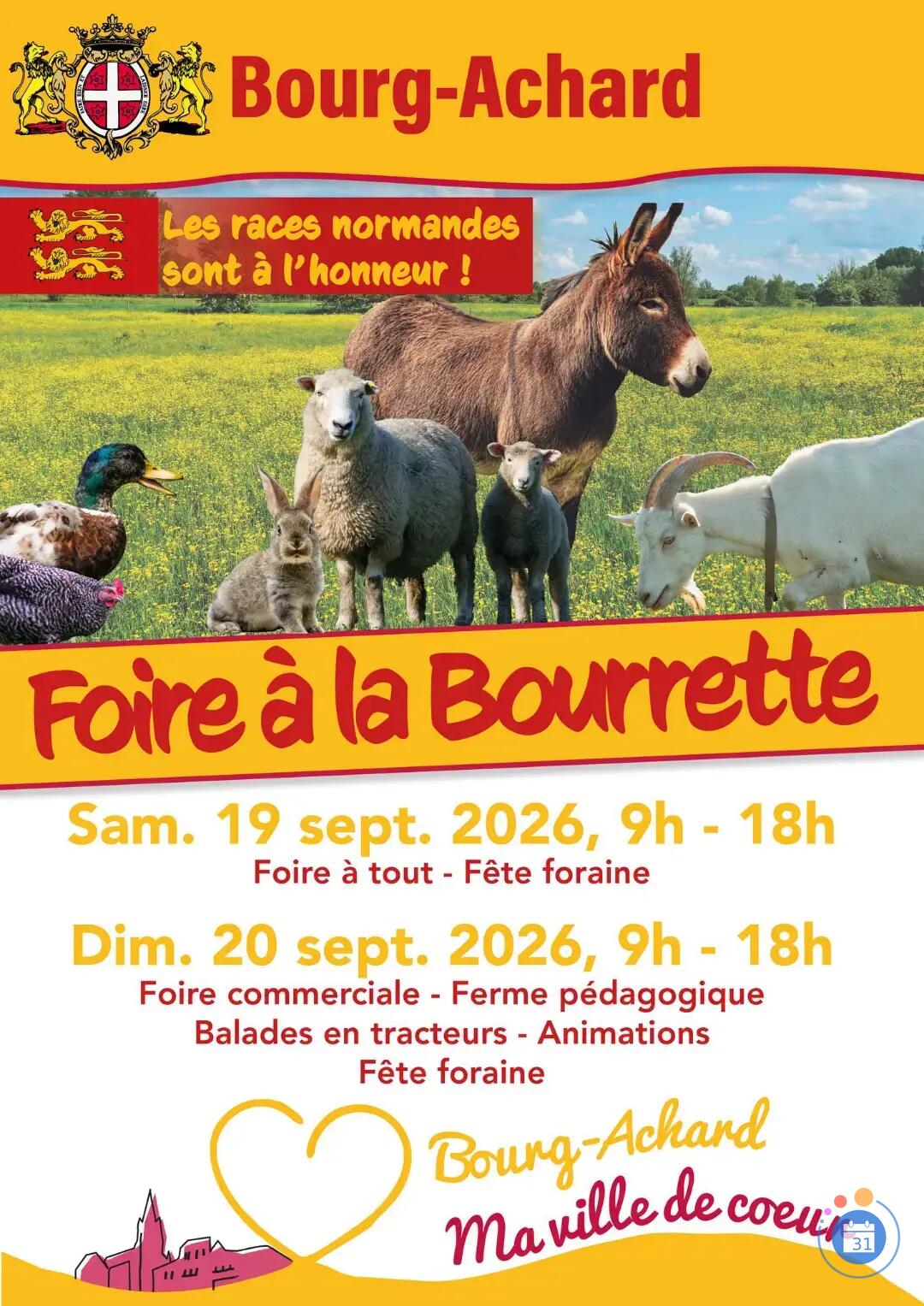 Image Foire à tout de la Foire à la bourette (photo 1)