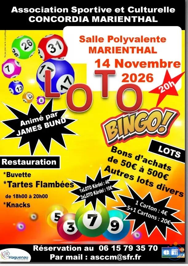 Image LOTO BINGO (photo 1)