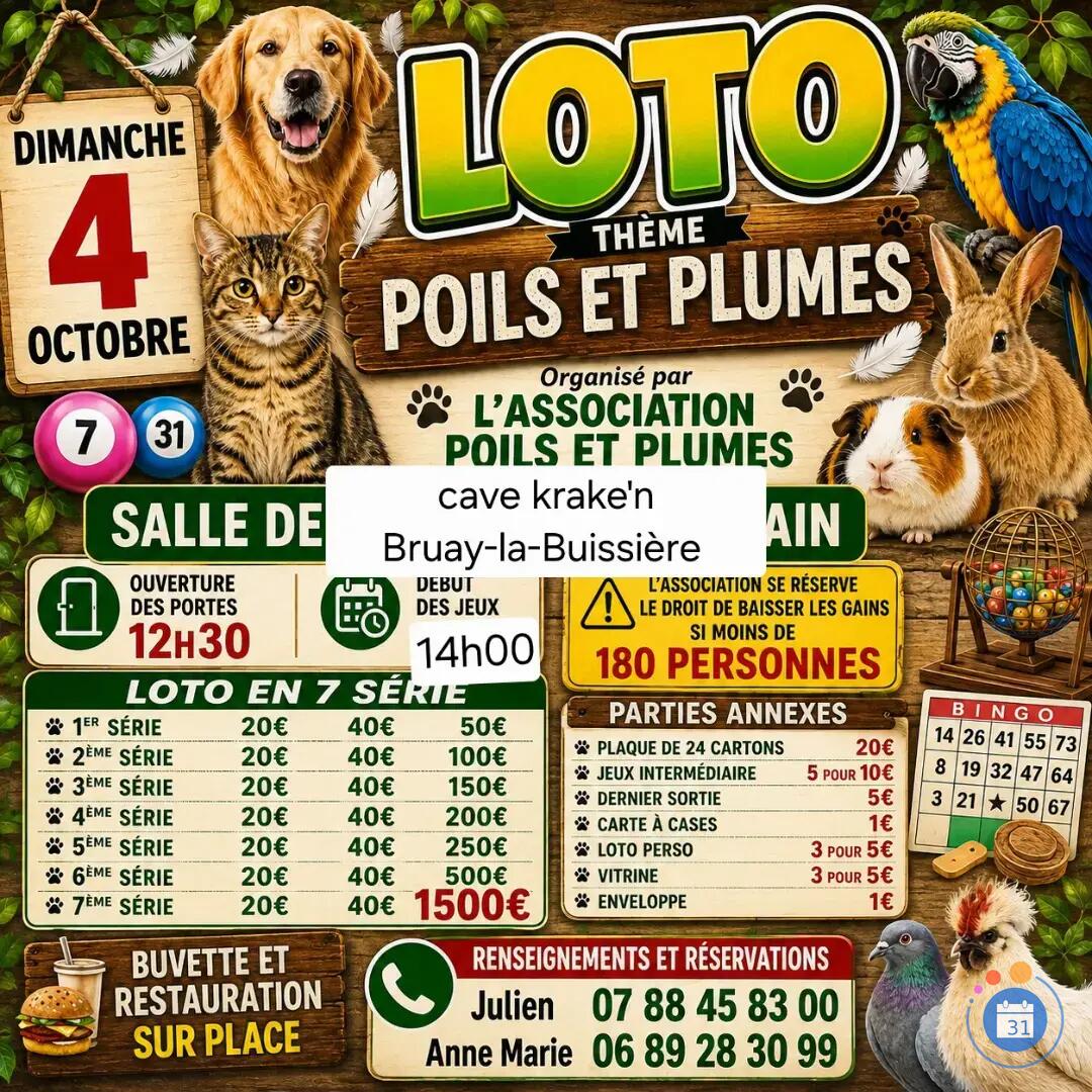 Flyer Mega loto