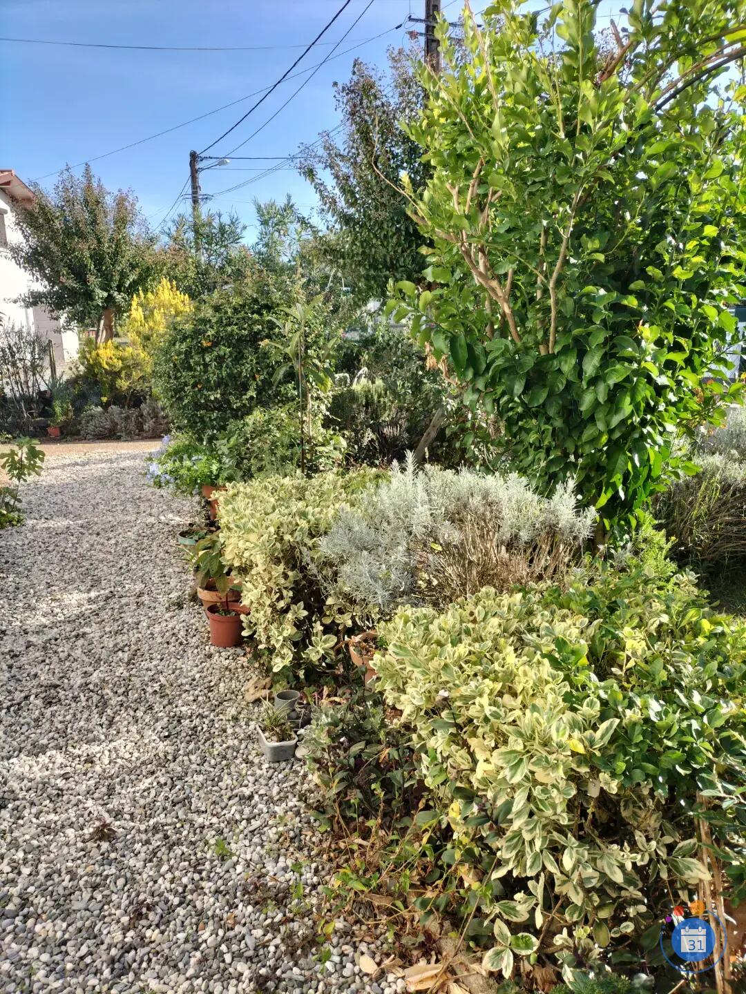 Image Grand vide maison, vide plantes et garage, tout débarrasser cause vente maison (photo 4)