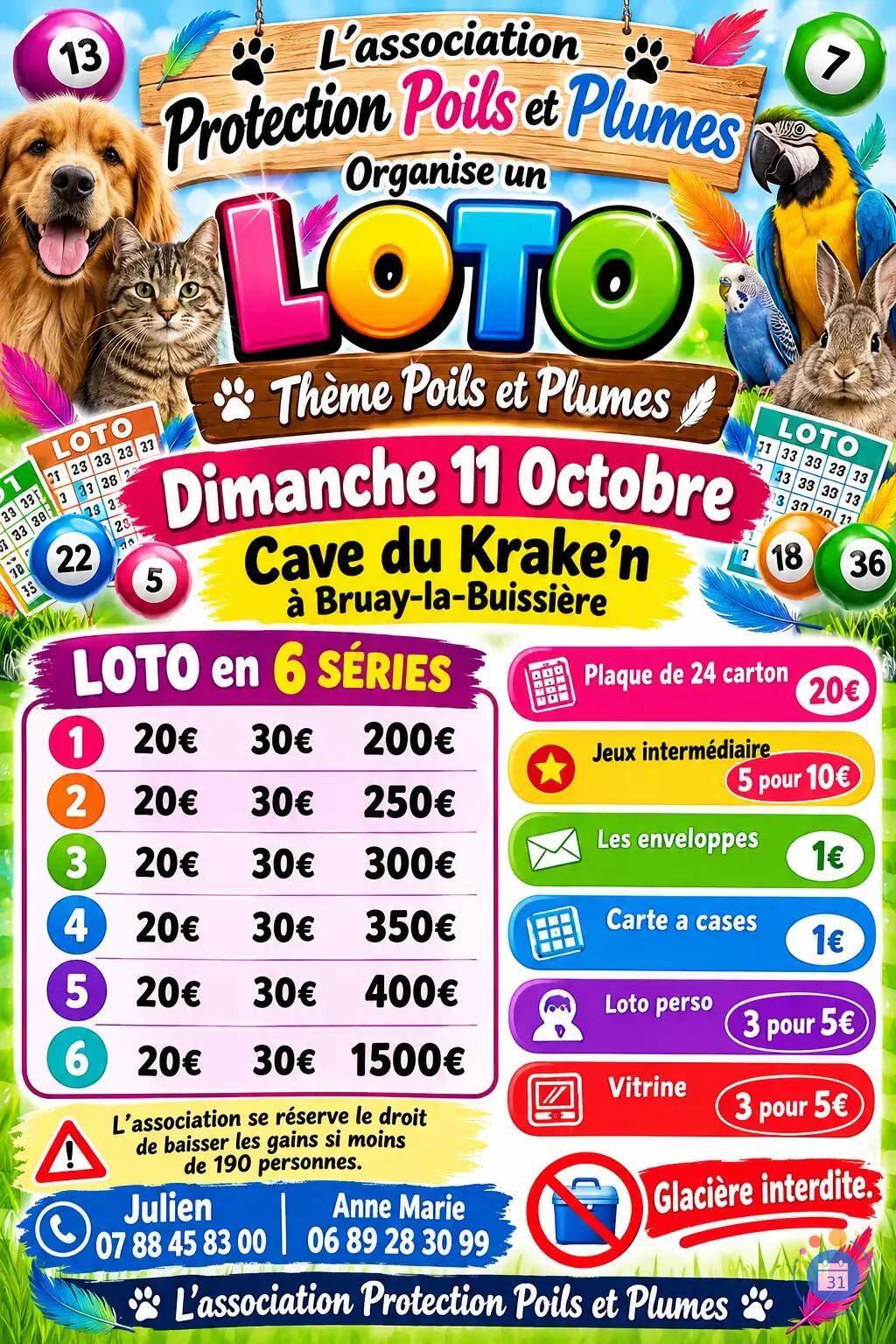 Flyer Mega loto