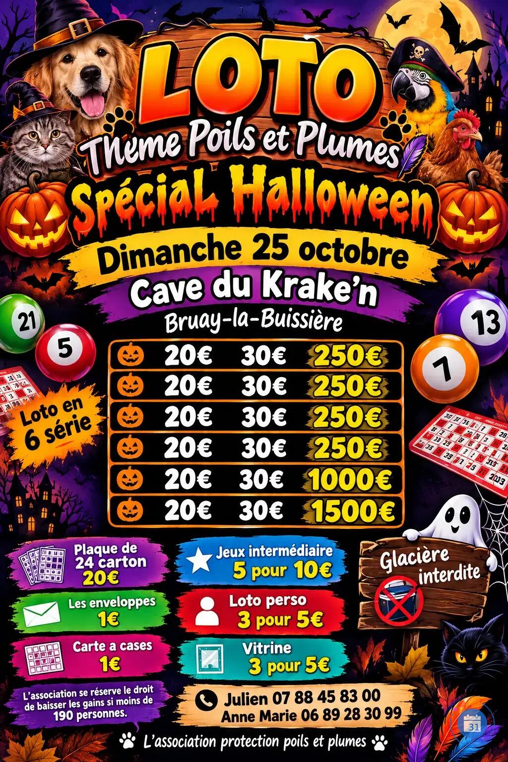 Flyer Mega loto