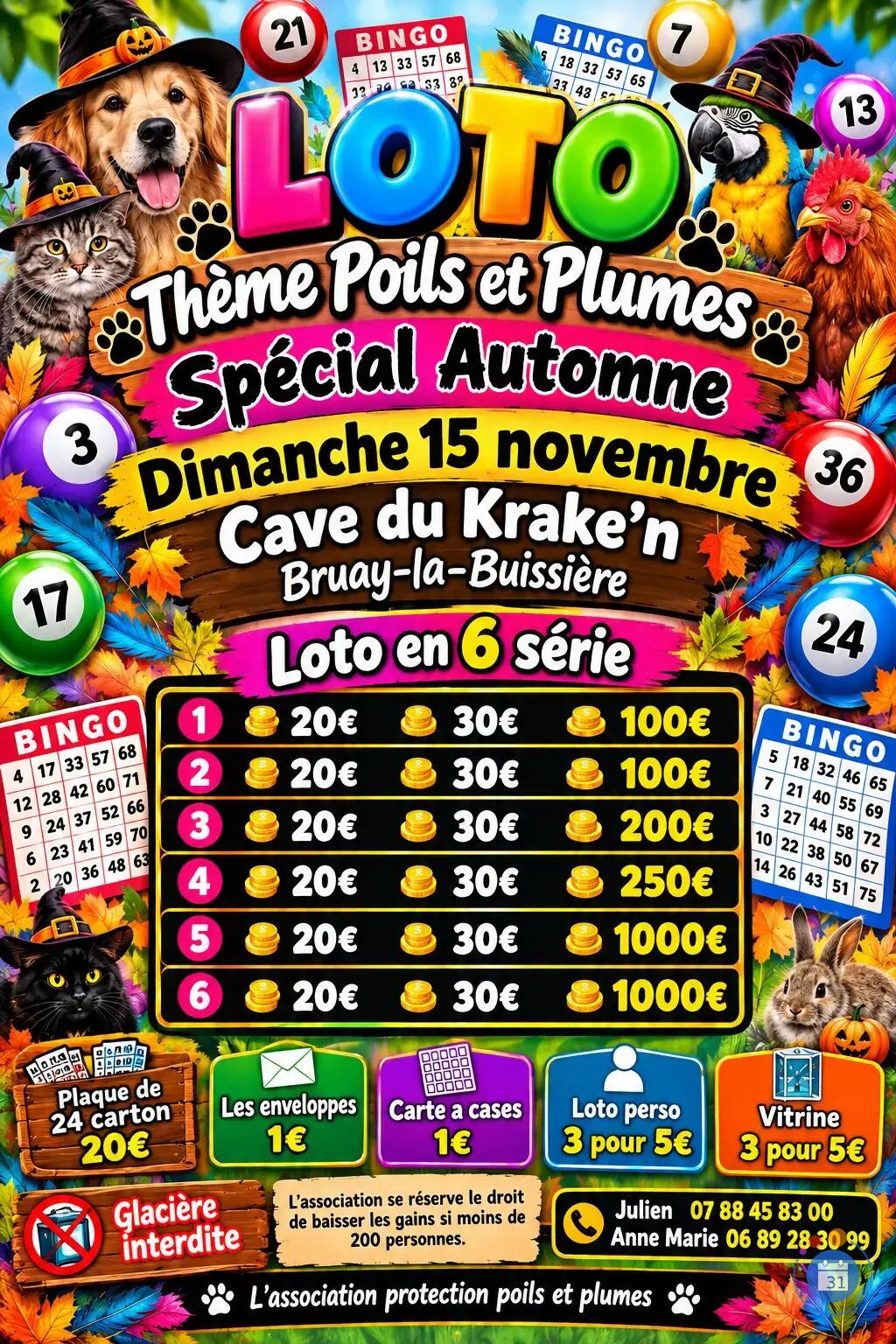 Flyer Mega loto