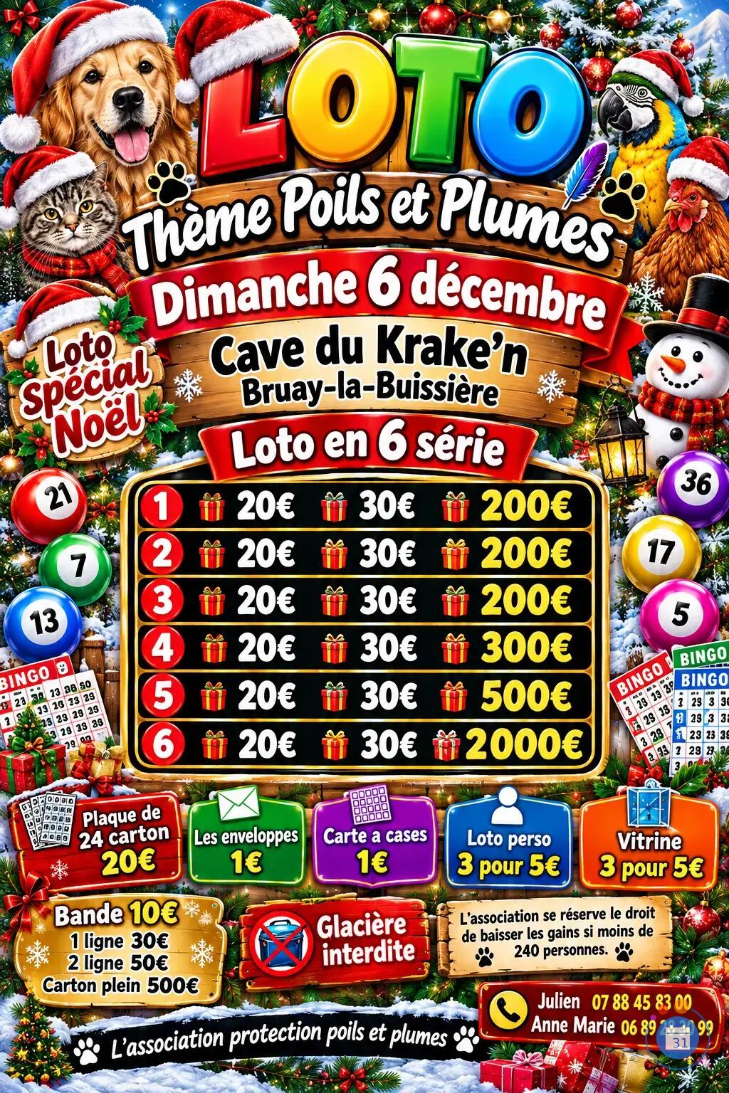 Flyer Mega loto