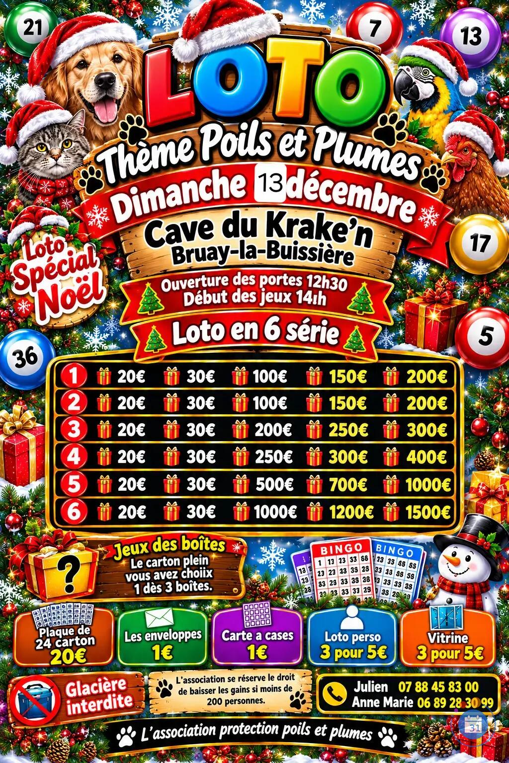 Flyer Mega loto