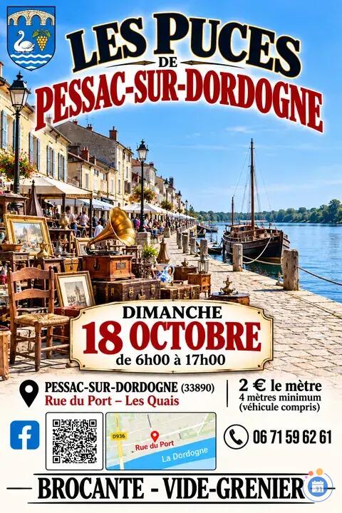 Image Les Puces de Pessac-Sur-Dordogne 2€ ml (photo 1)