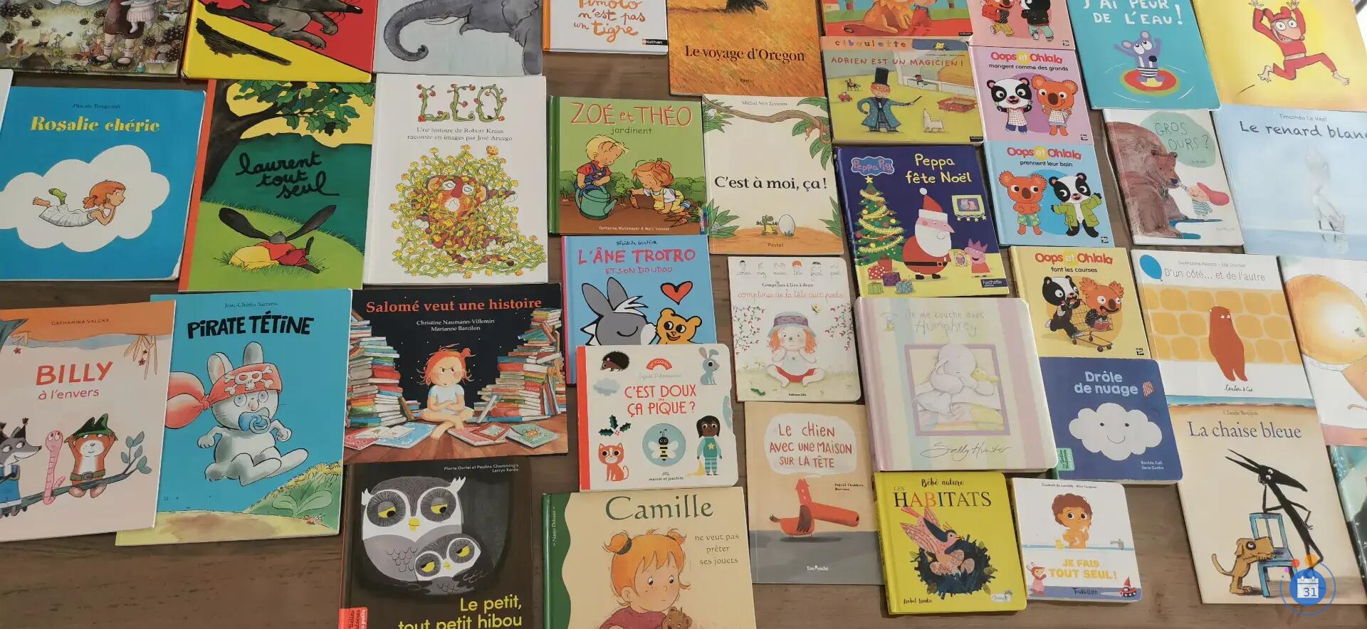 Image Vide maison : jouets, vêtements fille, laines, tissus, livres enfants et adulte (photo 2)