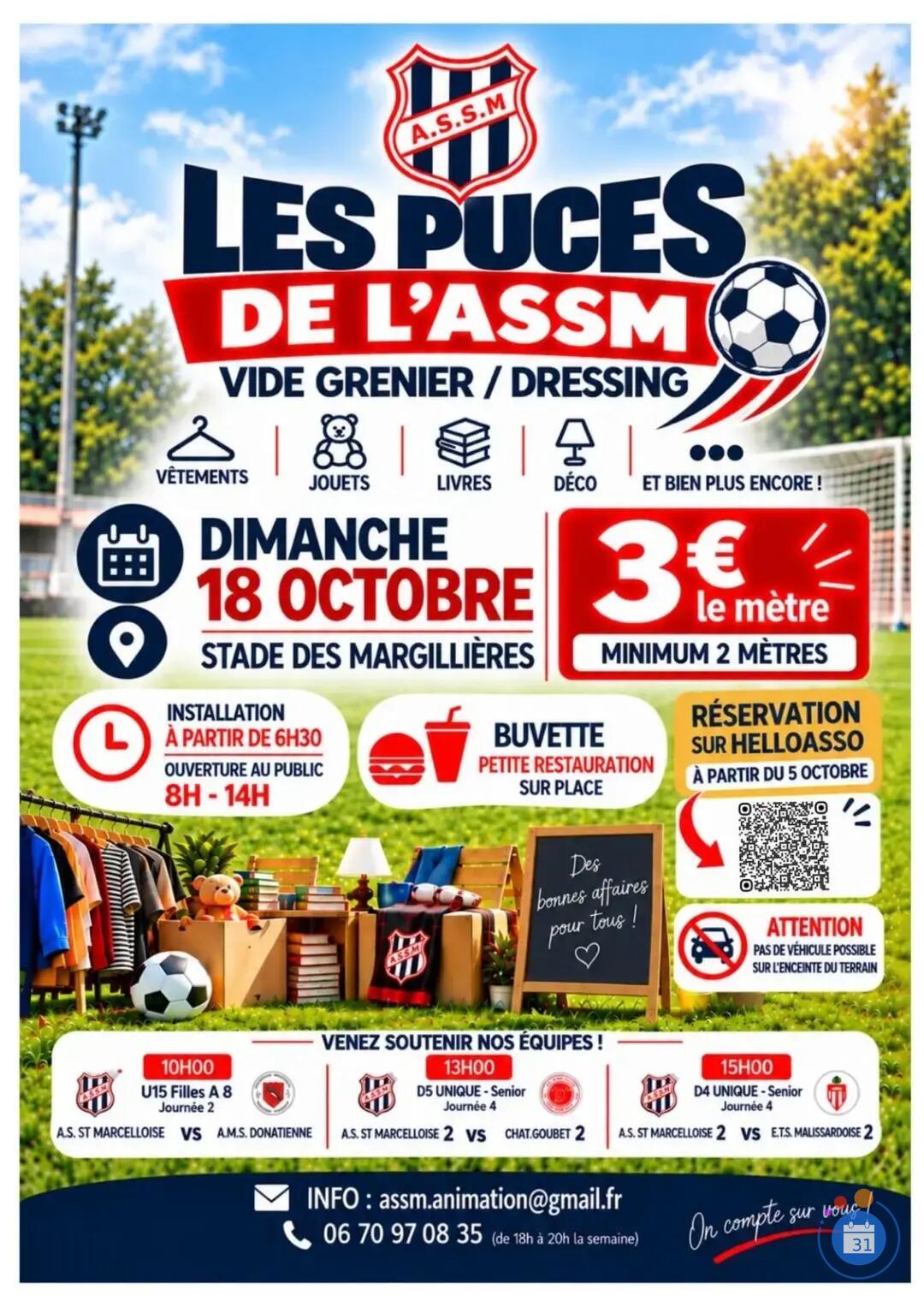Image Les puces de l'assm (photo 1)
