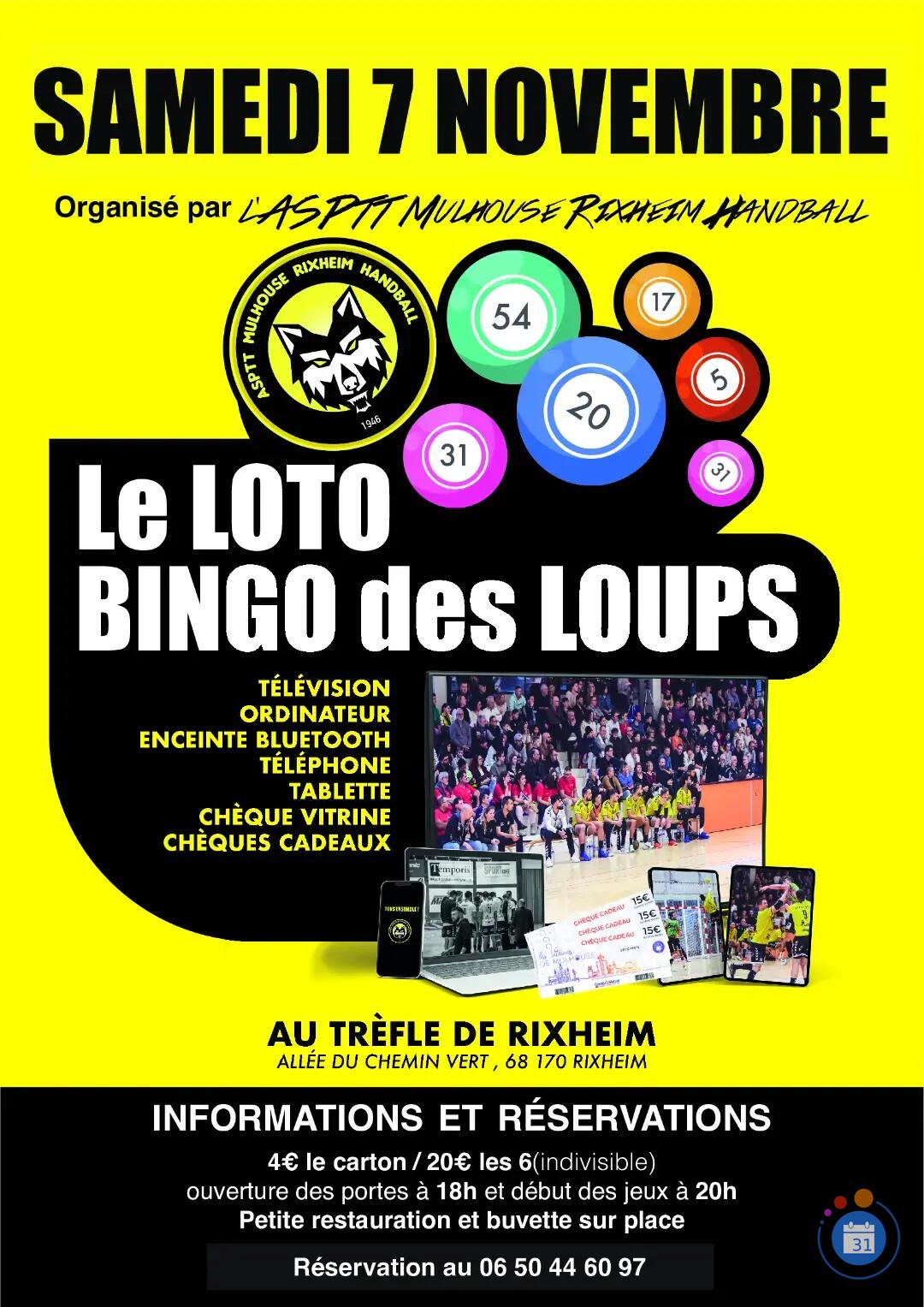 Image LOTO Des LOUPS (photo 1)