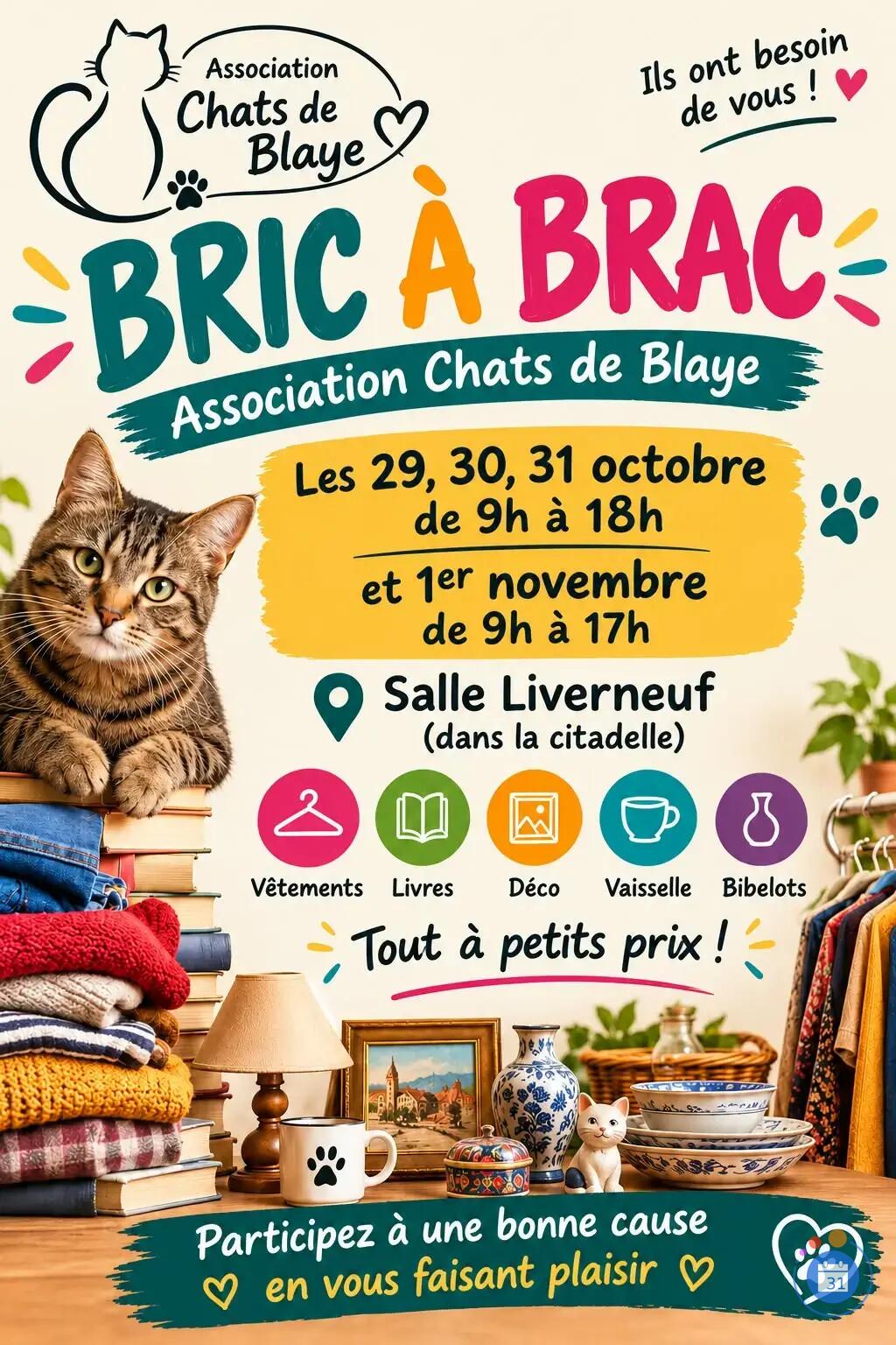 Image Bric à brac Chats de Blaye (photo 1)