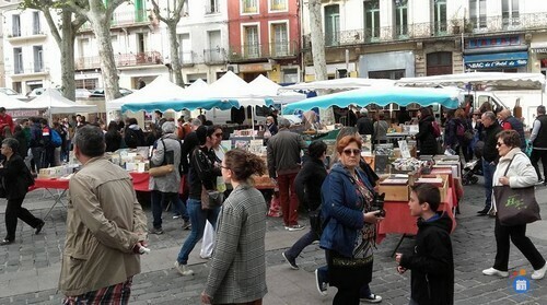 Image Foire aux livres avec une thematique (photo 1)
