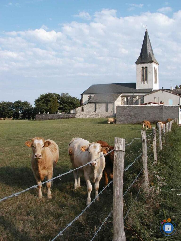 Image Marché de Noël et de St Nicolas (photo 2)