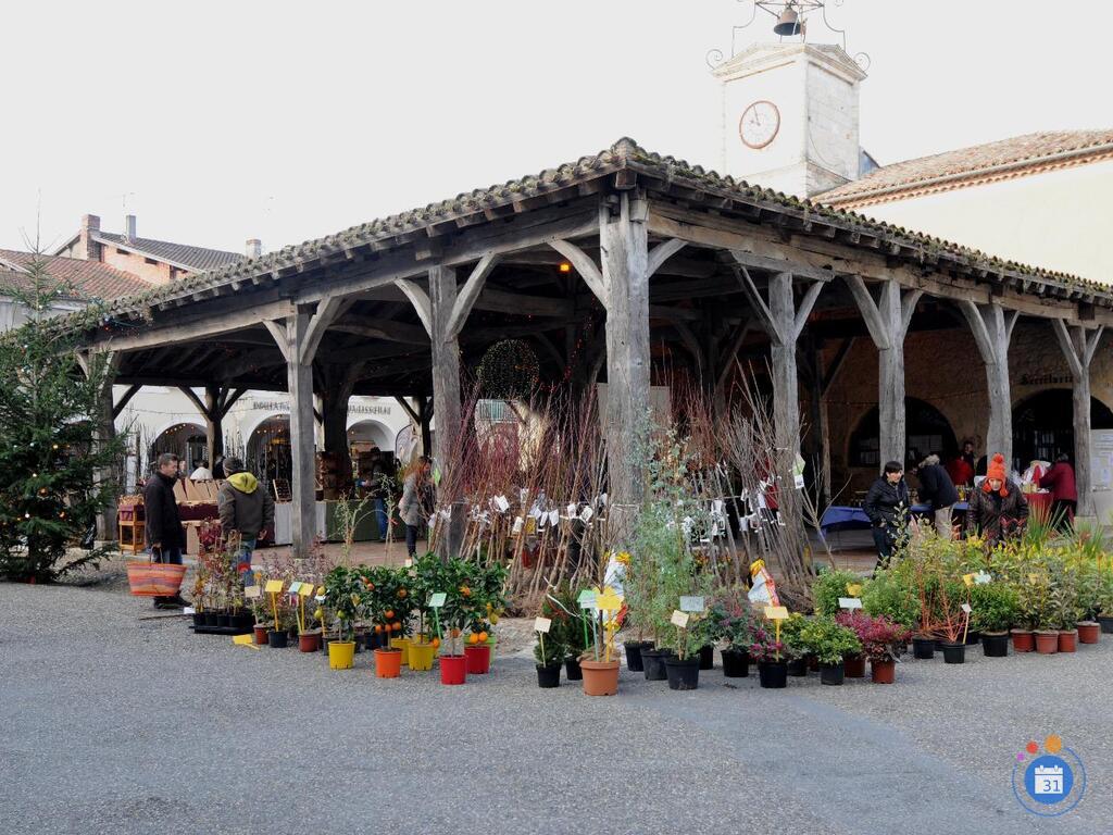 Image Marché de noël et fête de l'arbre (photo 2)