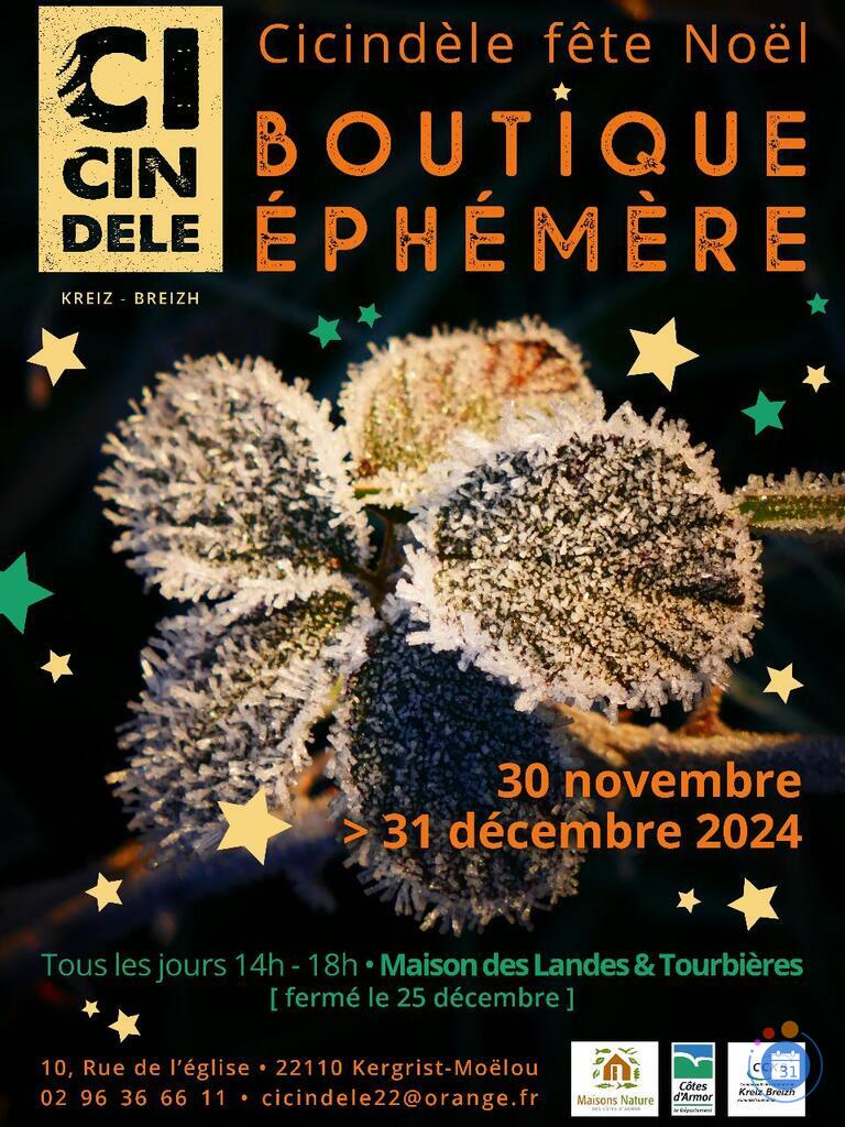 Image Boutique éphémère de Noël - Cicindèle fête Noël (photo 1)