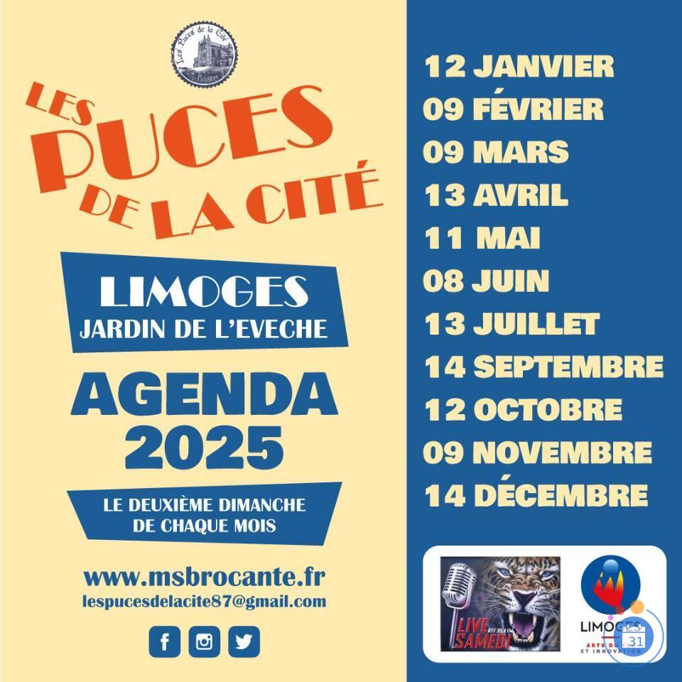 Image Les puces de la cité (photo 1)