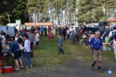 Image Puces craponnaises (photo 1)