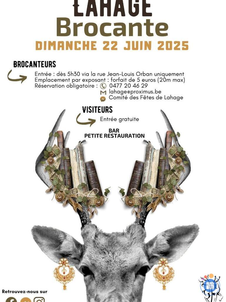 Image Brocante de Lahage (commune de Tintigny) (photo 1)